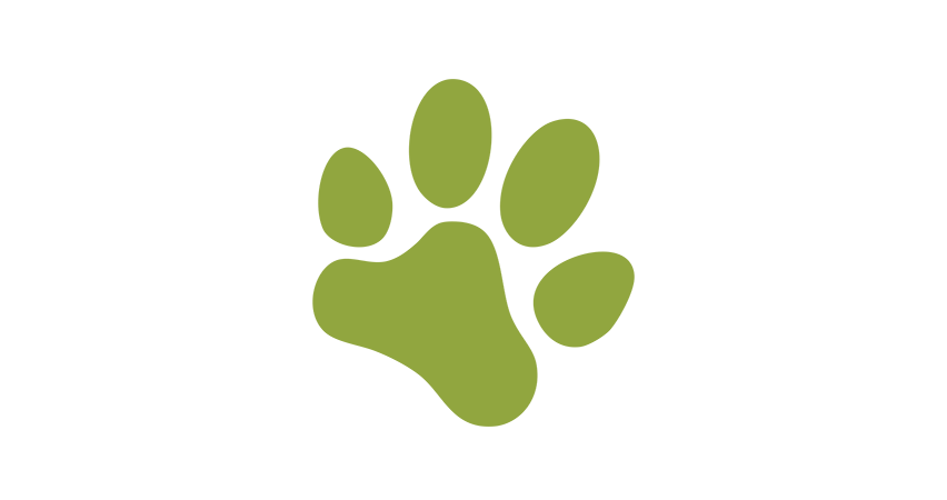 Doggone Raw COVID-19 Response